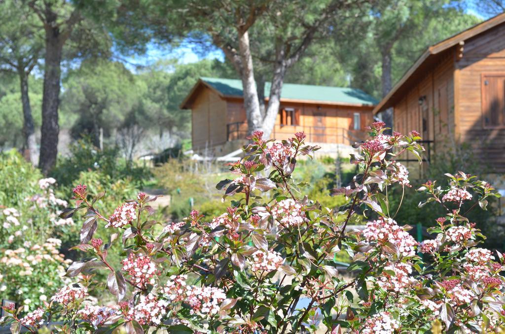 Apartamentos Paraje San Gines Andújar Exterior foto