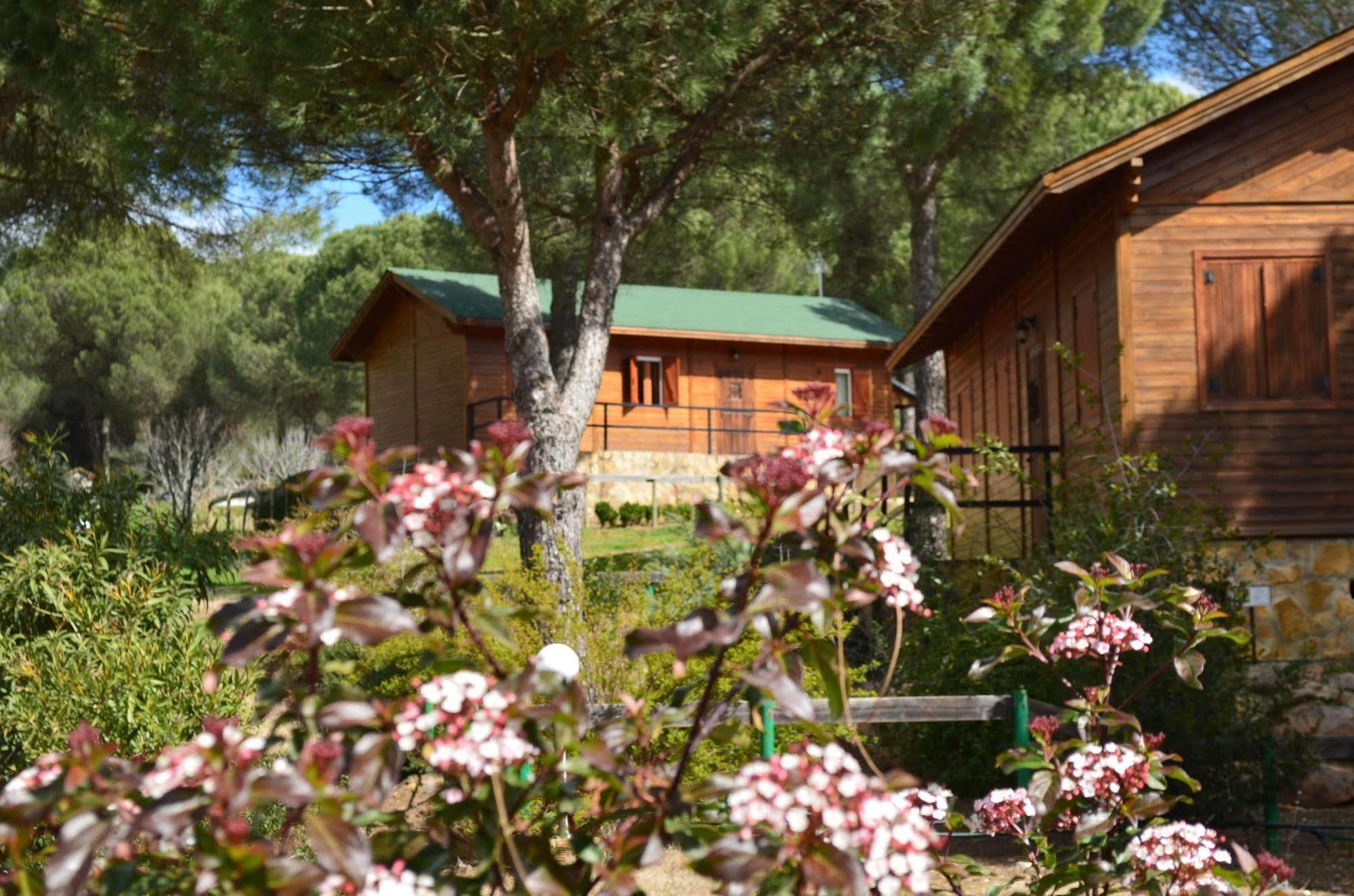 Apartamentos Paraje San Gines Andújar Exterior foto